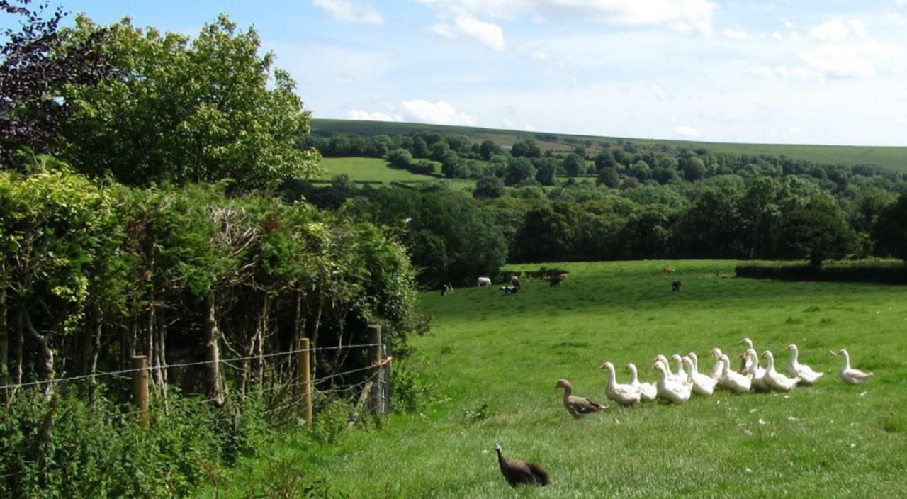 Heathergate Cottage Dartmoor Bnb Lydford Bagian luar foto